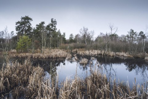 Nature reserve