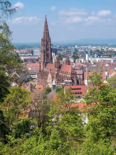 View from the Schlossberg to the city panorama and the Catholic parish church Freiburger Muenster