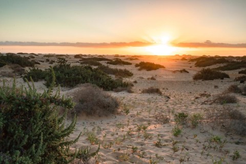 Sunrise