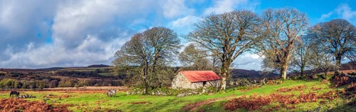 Panorama of Emsworthy Mire