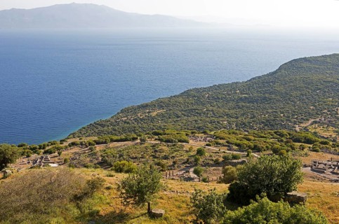 Assos