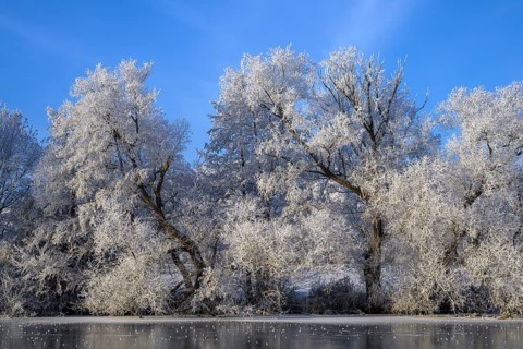 River landscape with hoarfrost and ice
