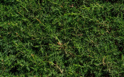 Different backgrounds and textures