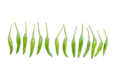 Small green chillies also known as Capsicum annuum