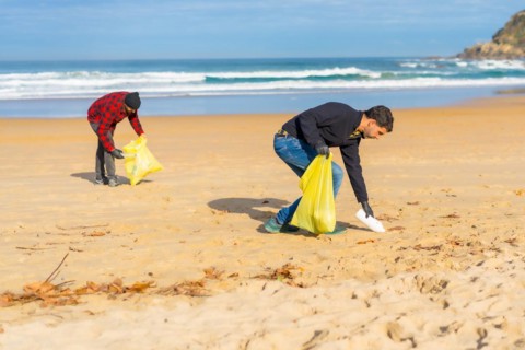 Volunteers collecting plastic from the sand on the beach. Ecology concept