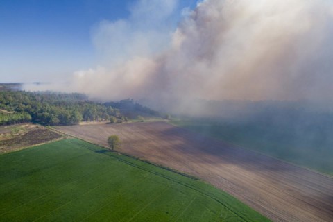 Fire in Goldenstedt Moor