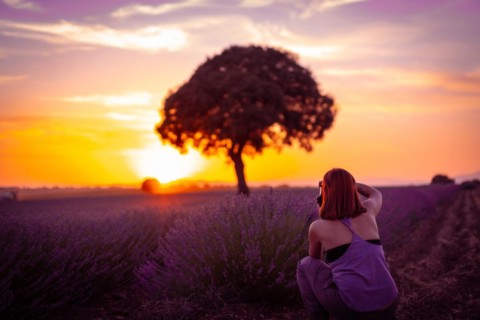 A woman at sunset in a lavender field with purple flowers
