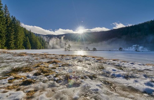Kleiner Arbersee