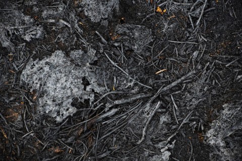 Moor fire