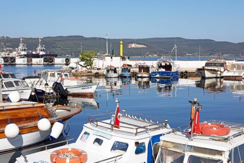 Boats in the harbour