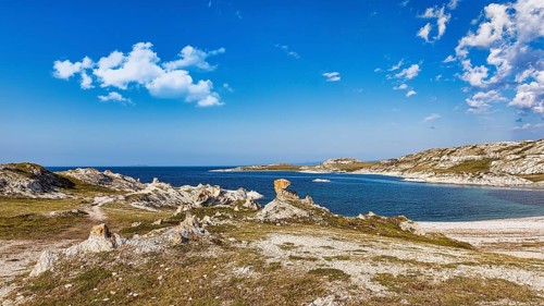 Fjord landscape in summer