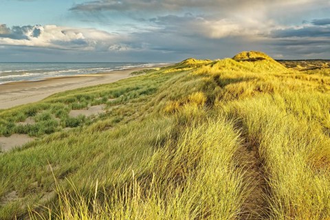 North Sea