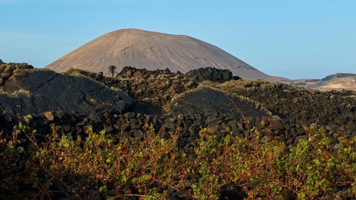 La Geria