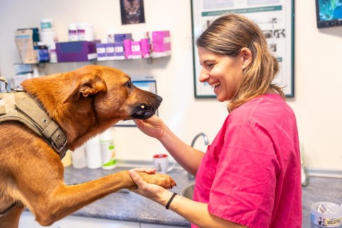 Veterinary clinic