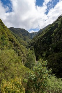 Wooded mountains