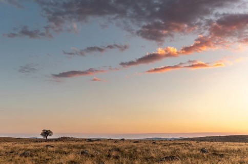 Landscape of Cantal at sunset. France