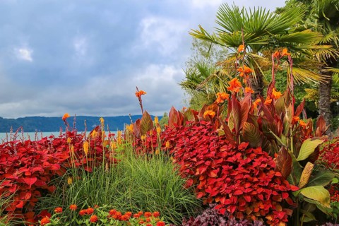 Garden culture path