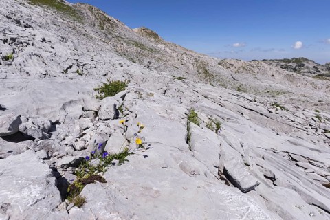 Gottesacker plateau