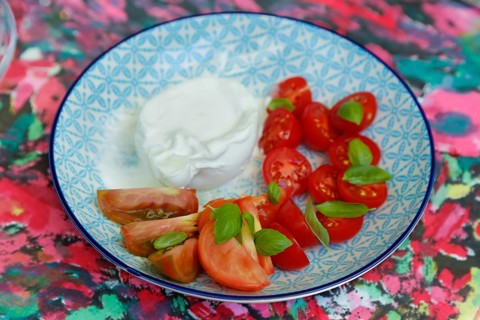 Tomatoes with basil and buffalo mozzarella