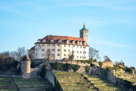 Kaltenstein Castle at sunrise