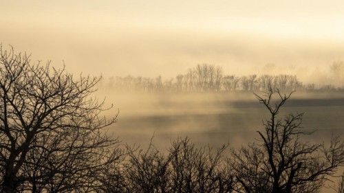 Morning atmosphere