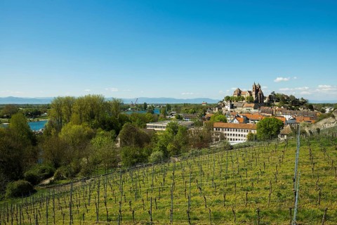 View from the Eckhartsberg on the old town with the Romanesque St. Stephen's Minster and the Rhine
