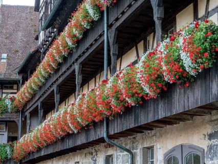 The flower-decorated balconies of the Historical Museum in the Alte Hofhaltung