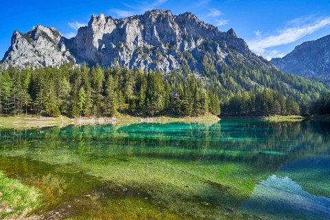 Green lake on a sunny day