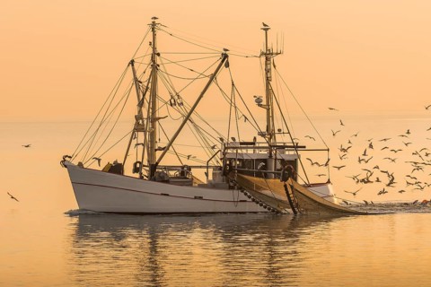 Fishing boat trawling in the North Sea