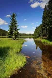 Kleiner Arbersee