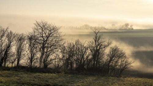 Morning atmosphere