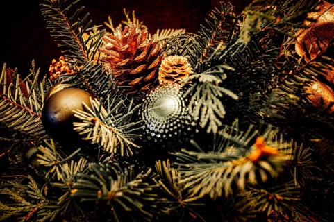 Christmas bouquet of spruce