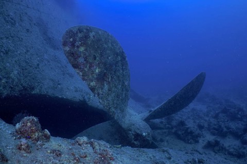 Ship's propeller of the Thistlegorm from the Second World War on the seabed. Dive site Thistlegorm wreck