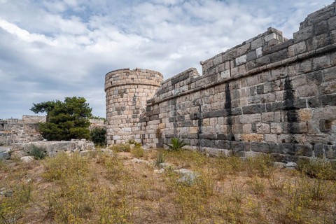 Neratzia