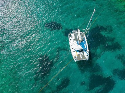Sailing catamaran from above