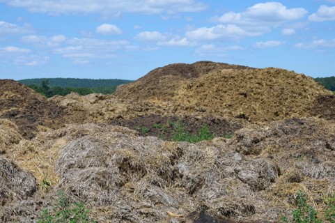 Muck heap