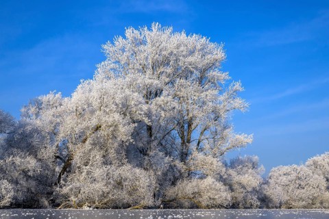 River landscape with hoarfrost and ice
