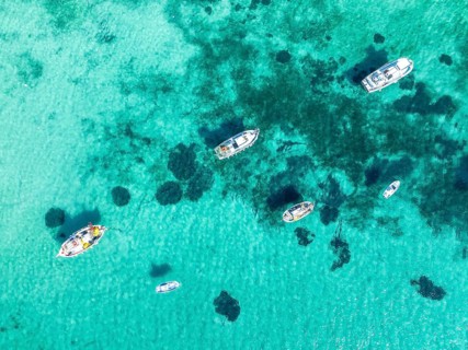 Fishing boats from above
