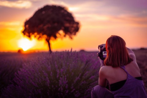 A woman at sunset in a lavender field with purple flowers