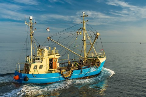Fishing cutter on the North Sea