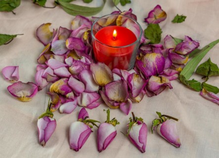 Dried roses