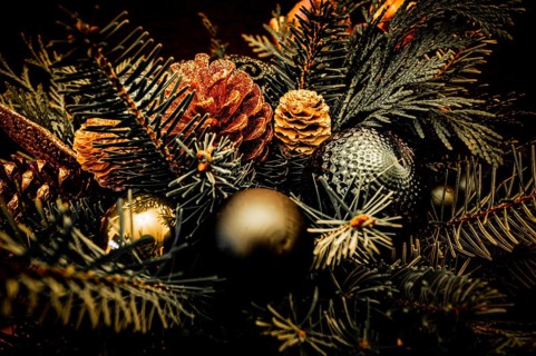 Christmas bouquet of spruce