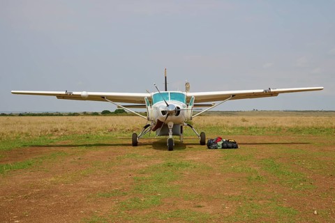 Bush Planes