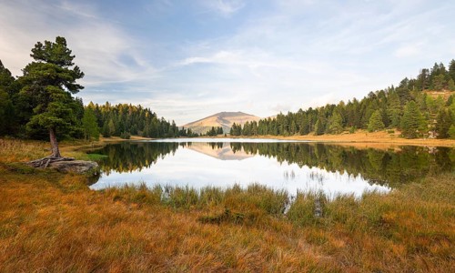 Schwarzsee with stone pine and reflection