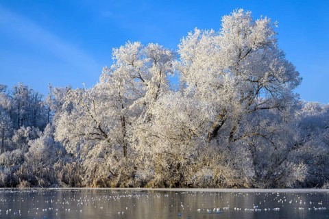 River landscape with hoarfrost and ice