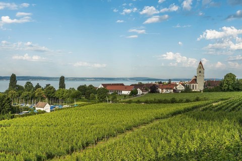Vineyards and Johann Baptist Catholic Church