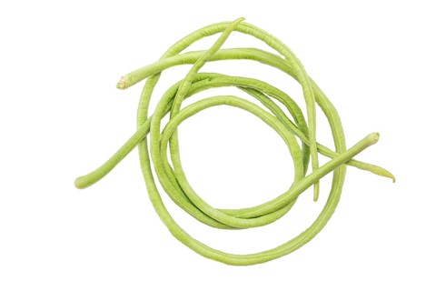 Closeup of the long bean or asparagus bean also known as the long-podded cowpea