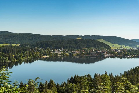 View over the Titisee in the morning light