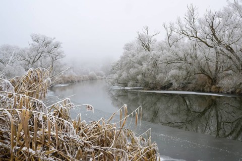 River landscape