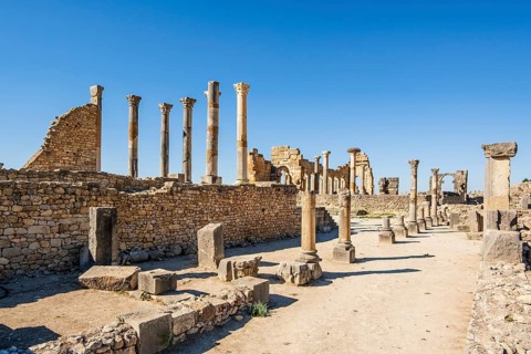 Well-preserved roman ruins in Volubilis